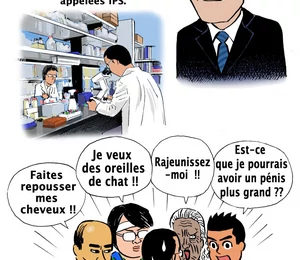 Live Japon : un Nobel de médecine qui profite à l'électronique